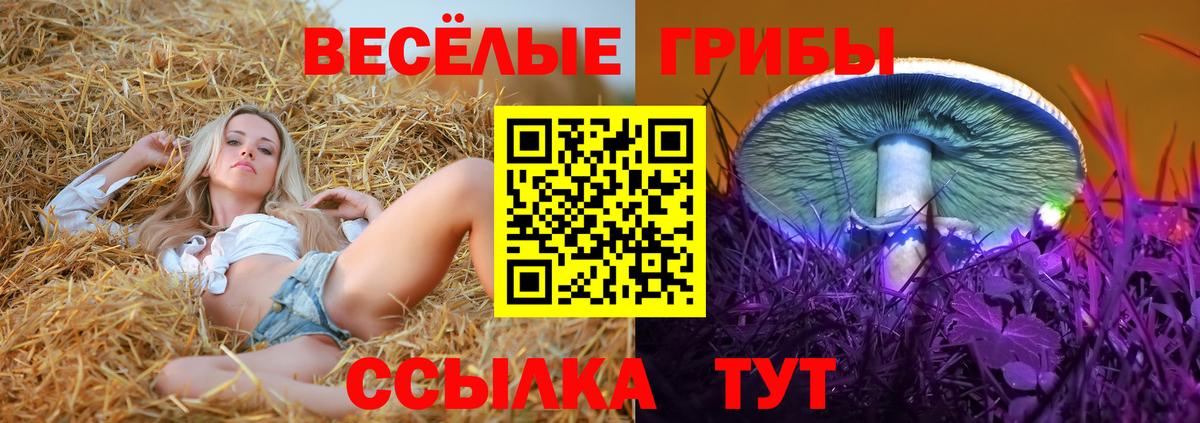 Псилоцибиновые грибы GOLDEN TEACHER  Вход с VPN  Верхняя Пышма 