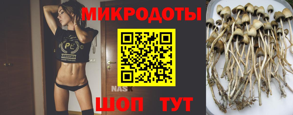 Псилоцибиновые грибы мухоморы Верхняя Пышма